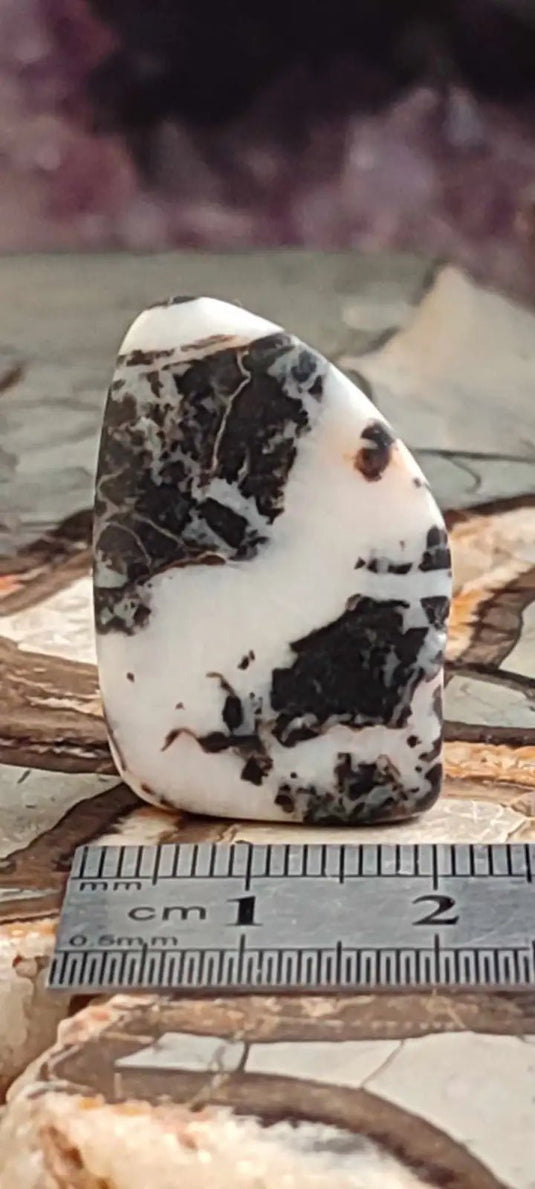 Jaspe zébré du Brésil pierre roulée Grade A++++ Jaspe Zèbre pierre roulée