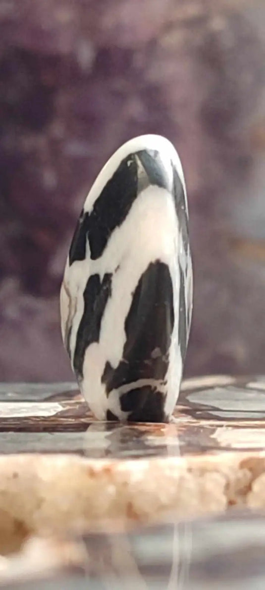 Jaspe zébré du Brésil pierre roulée Grade A++++ Jaspe Zèbre pierre roulée