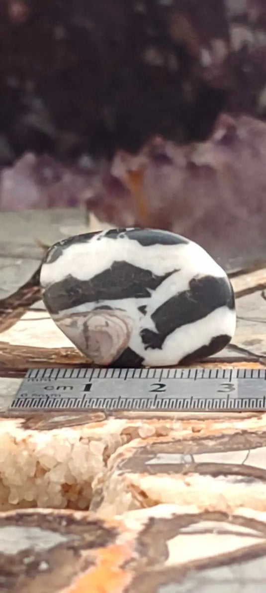 Jaspe zébré du Brésil pierre roulée Grade A++++ Jaspe Zèbre pierre roulée