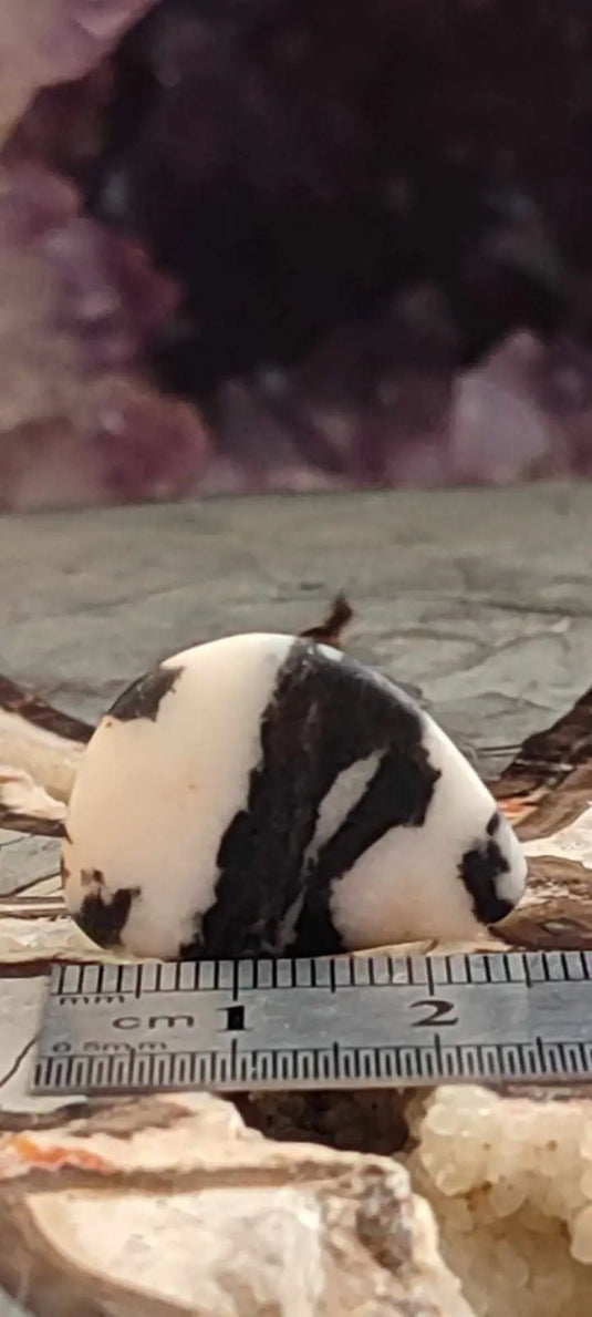 Jaspe zébré du Brésil pierre roulée Grade A++++ Jaspe Zèbre pierre roulée