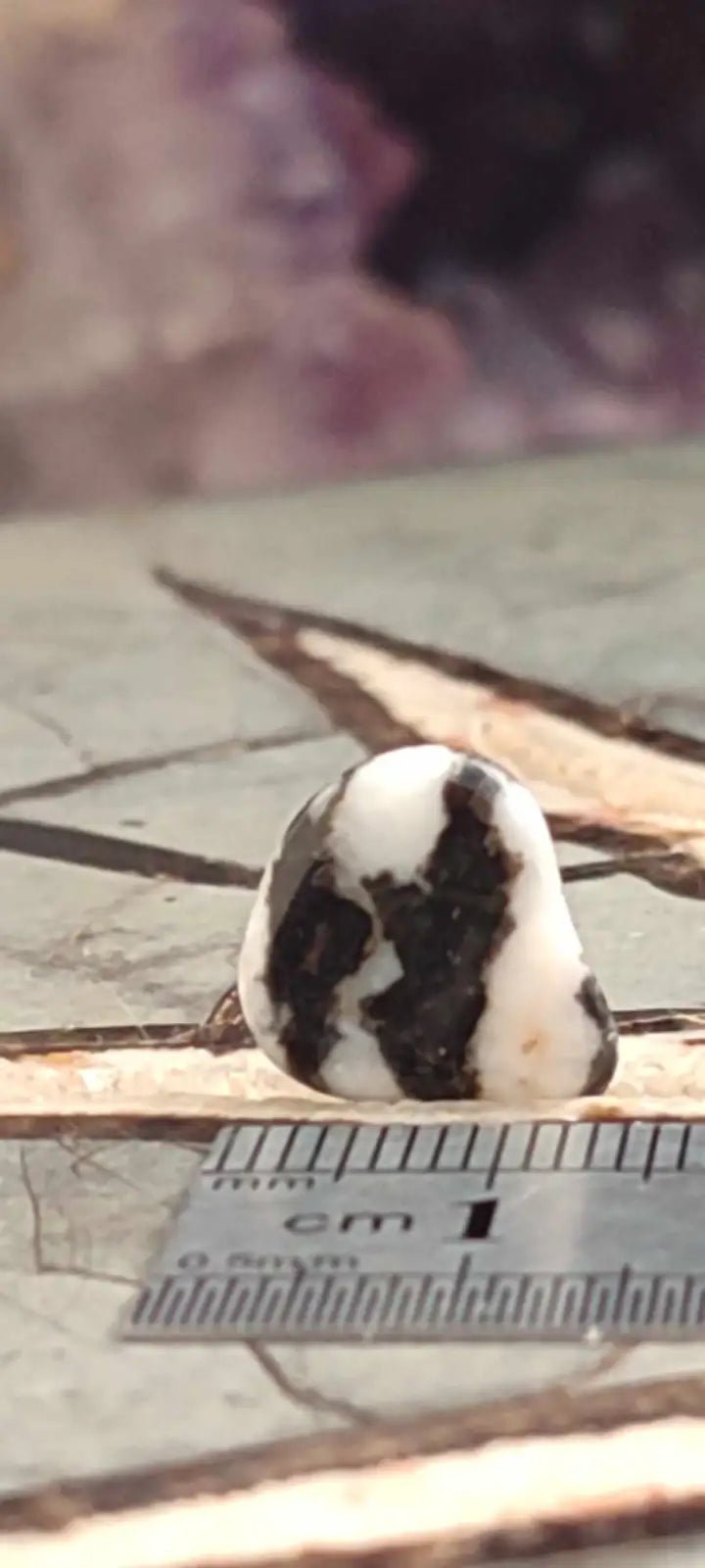 Load image into Gallery viewer, Jaspe zébré du Brésil pierre roulée Grade A++++ Jaspe Zèbre pierre roulée
