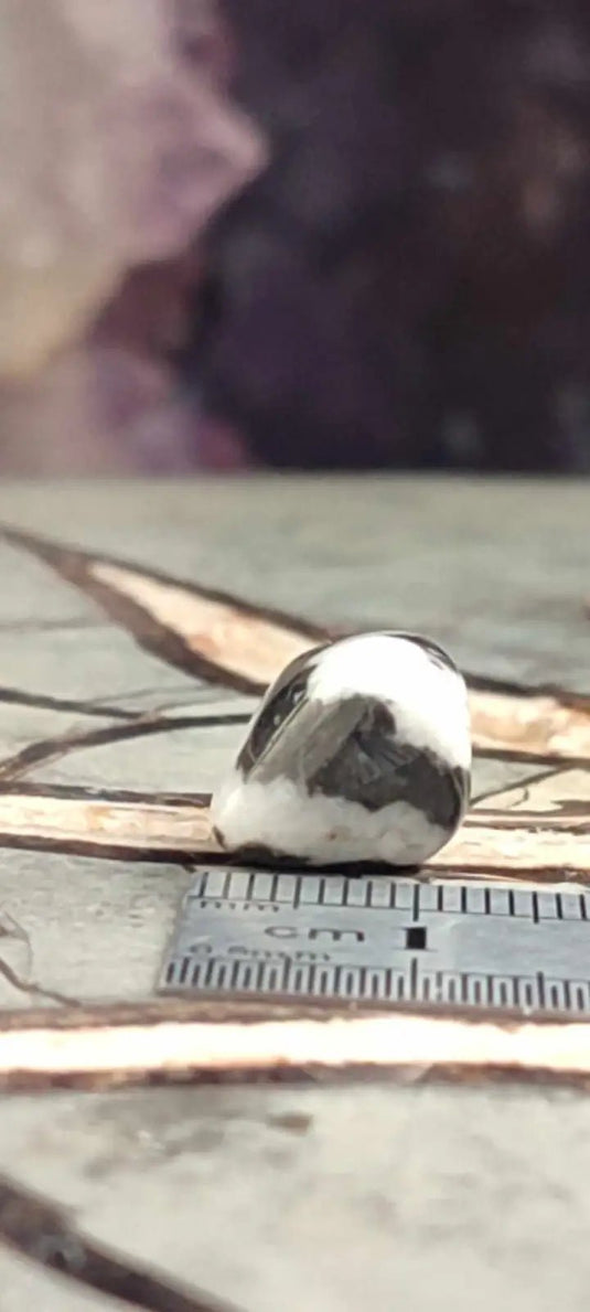 Jaspe zébré du Brésil pierre roulée Grade A++++ Jaspe Zèbre pierre roulée