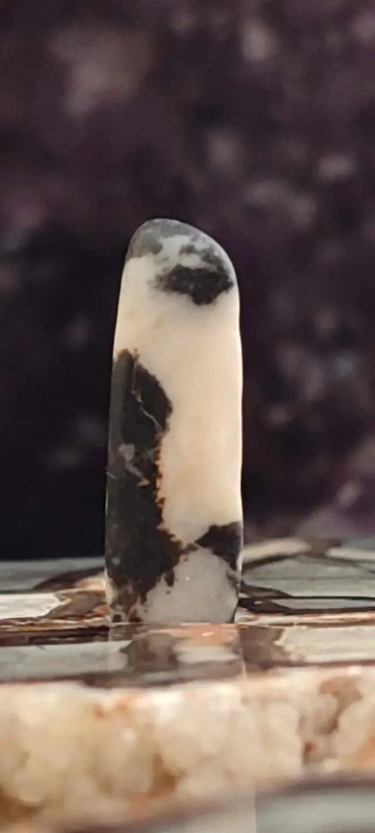 Jaspe zébré du Brésil pierre roulée Grade A++++ Jaspe Zèbre pierre roulée