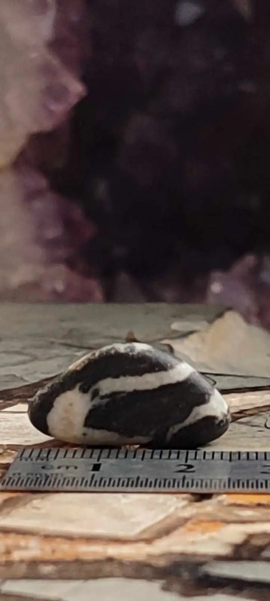 Jaspe zébré du Brésil pierre roulée Grade A++++ Jaspe Zèbre pierre roulée