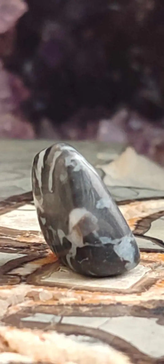 Jaspe zébré du Brésil pierre roulée Grade A++++ Jaspe Zèbre pierre roulée