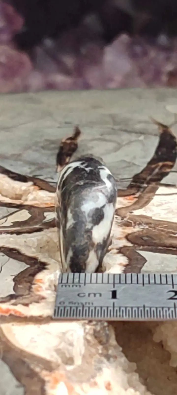 Chargez l'image dans la visionneuse de la galerie, Jaspe zébré du Brésil pierre roulée Grade A++++ Jaspe Zèbre pierre roulée
