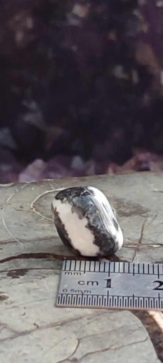 Jaspe zébré du Brésil pierre roulée Grade A++++ Jaspe Zèbre pierre roulée