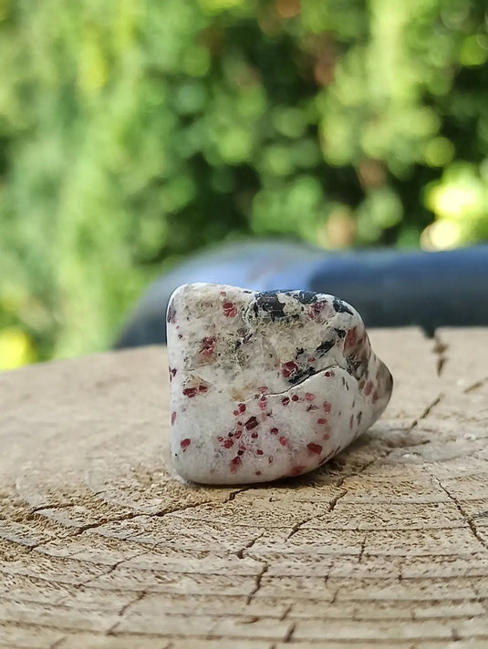 Kakortokite du Groënland pierre roulée Grade A++++ ’Très rare’ Kakortokite