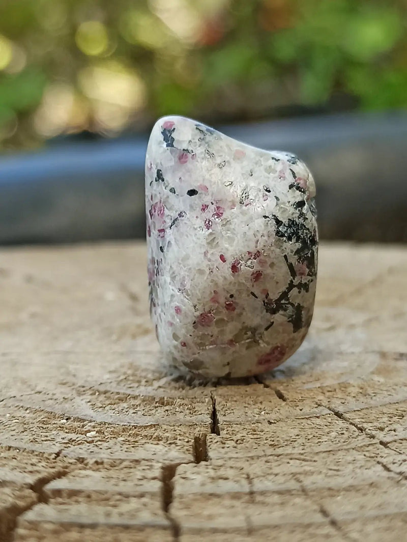 Chargez l'image dans la visionneuse de la galerie, Kakortokite du Groënland pierre roulée Grade A++++ ’Très rare’ Kakortokite
