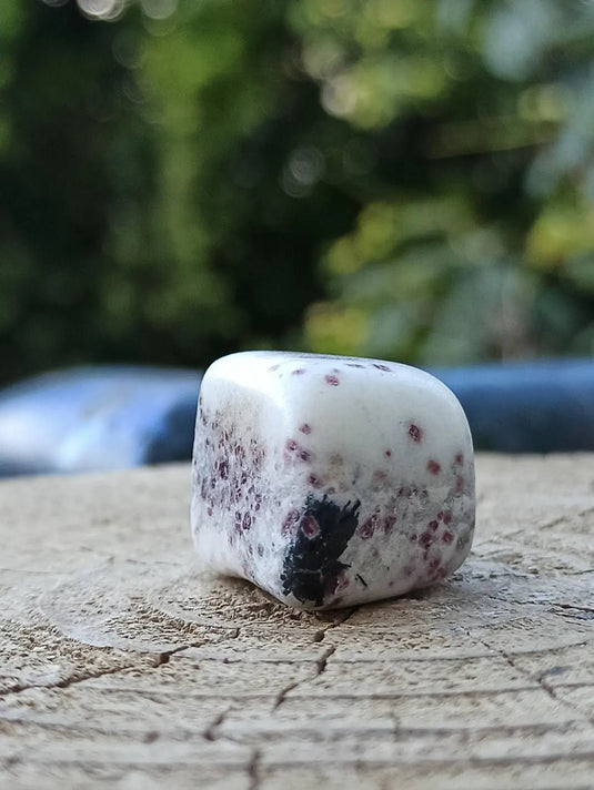 Kakortokite du Groënland pierre roulée Grade A++++ ’Très rare’ Kakortokite