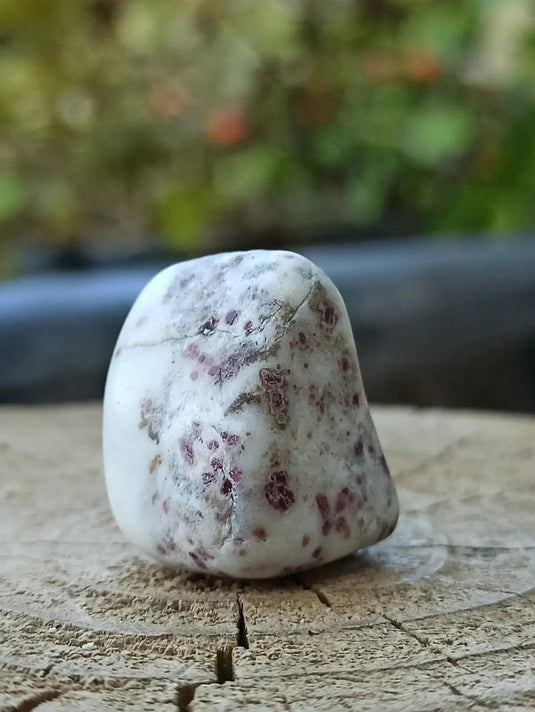 Kakortokite du Groënland pierre roulée Grade A++++ ’Très rare’ Kakortokite