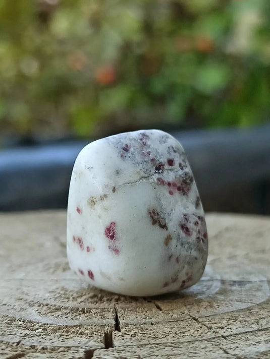 Kakortokite du Groënland pierre roulée Grade A++++ ’Très rare’ Kakortokite