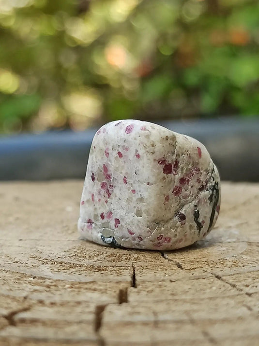 Kakortokite du Groënland pierre roulée Grade A++++ ’Très rare’ Kakortokite