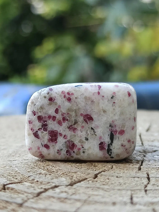 Kakortokite du Groënland pierre roulée Grade A++++ ’Très rare’ Kakortokite