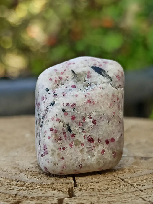 Kakortokite du Groënland pierre roulée Grade A++++ ’Très rare’ Kakortokite