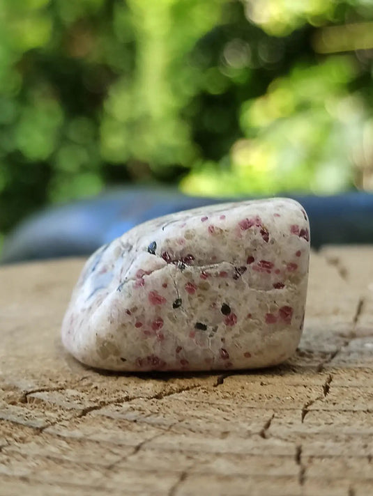 Kakortokite du Groënland pierre roulée Grade A++++ ’Très rare’ Kakortokite