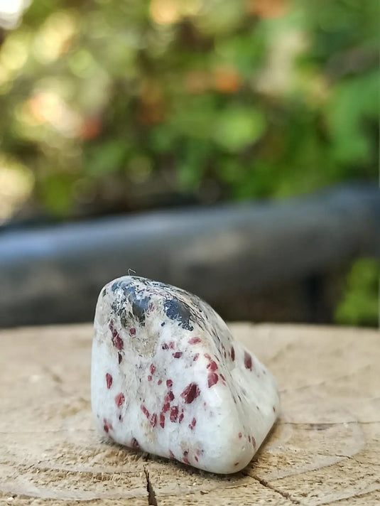 Kakortokite du Groënland pierre roulée Grade A++++ ’Très rare’ Kakortokite