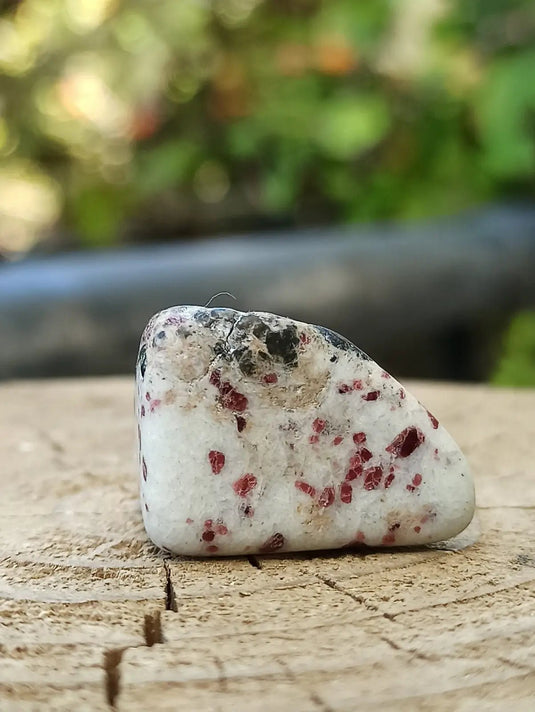 Kakortokite du Groënland pierre roulée Grade A++++ ’Très rare’ Kakortokite