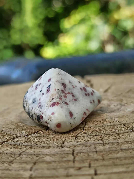 Kakortokite du Groënland pierre roulée Grade A++++ ’Très rare’ Kakortokite