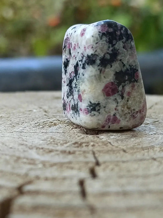 Kakortokite du Groënland pierre roulée Grade A++++ ’Très rare’ Kakortokite