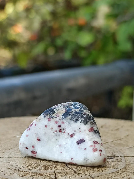 Kakortokite du Groënland pierre roulée Grade A++++ ’Très rare’ Kakortokite