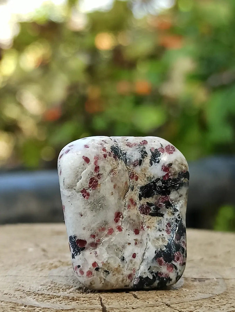 Chargez l'image dans la visionneuse de la galerie, Kakortokite du Groënland pierre roulée Grade A++++ ’Très rare’ Kakortokite
