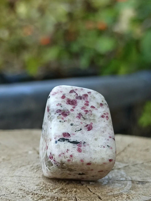 Kakortokite du Groënland pierre roulée Grade A++++ ’Très rare’ Kakortokite