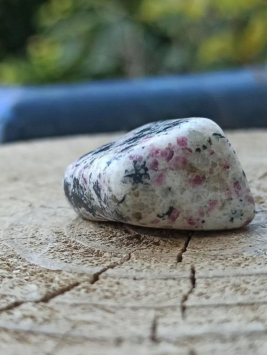 Kakortokite du Groënland pierre roulée Grade A++++ ’Très rare’ Kakortokite