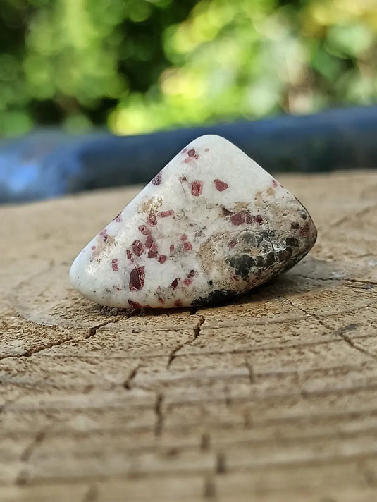 Kakortokite du Groënland pierre roulée Grade A++++ ’Très rare’ Kakortokite