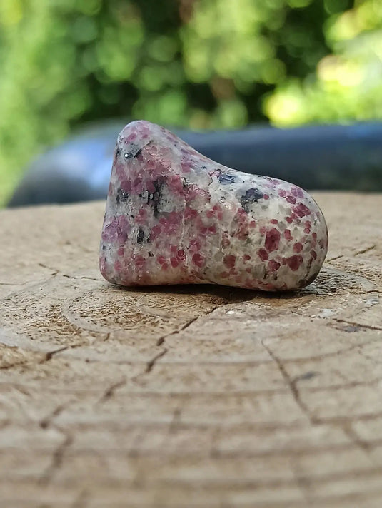 Kakortokite du Groënland pierre roulée Grade A++++ ’Très rare’ Kakortokite