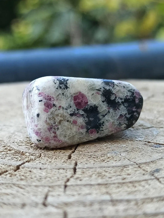 Kakortokite du Groënland pierre roulée Grade A++++ ’Très rare’ Kakortokite