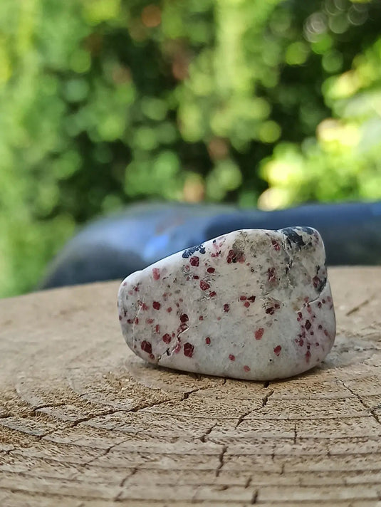 Kakortokite du Groënland pierre roulée Grade A++++ ’Très rare’ Kakortokite