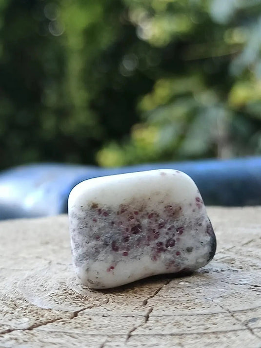 Kakortokite du Groënland pierre roulée Grade A++++ ’Très rare’ Kakortokite