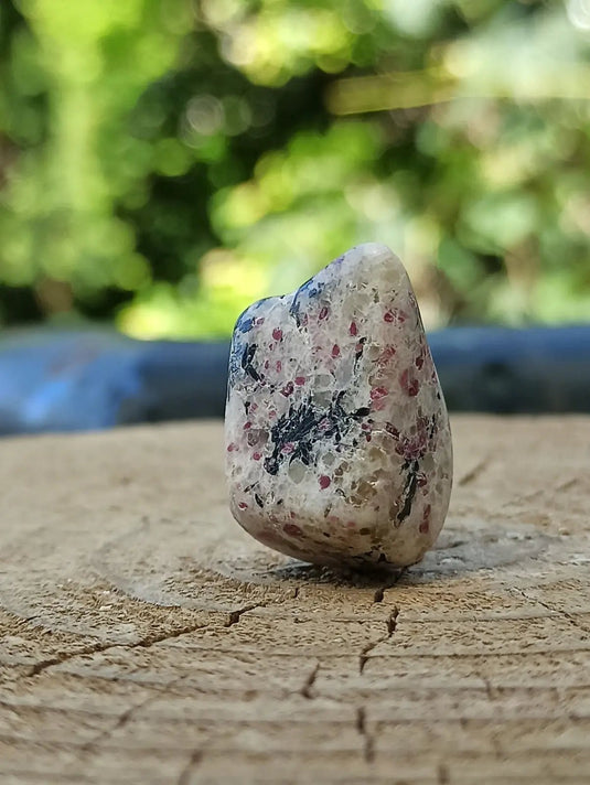 Kakortokite du Groënland pierre roulée Grade A++++ ’Très rare’ Kakortokite