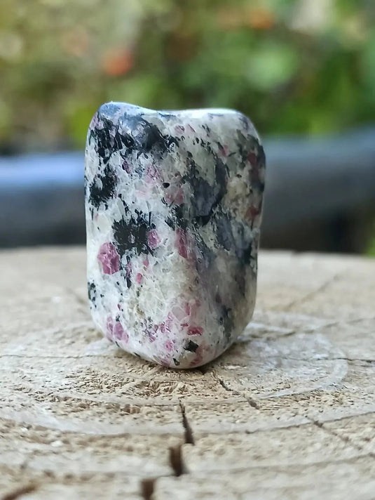 Kakortokite du Groënland pierre roulée Grade A++++ ’Très rare’ Kakortokite