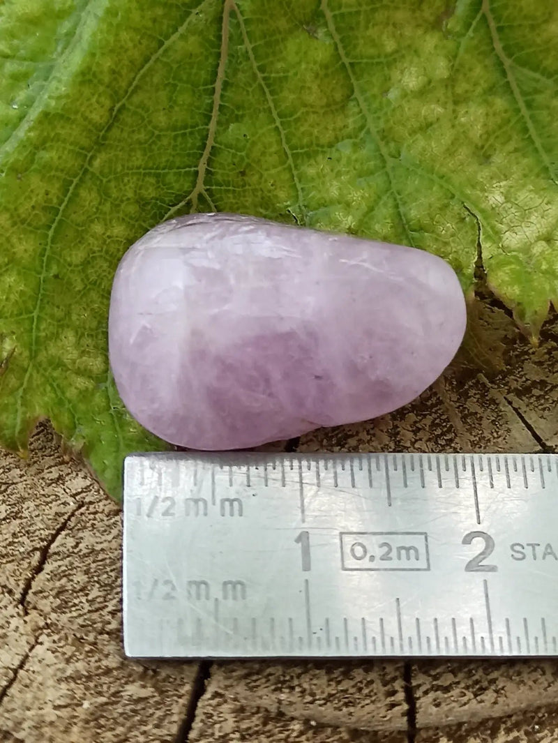 Load image into Gallery viewer, Kunzite du Brésil pierre roulée Grade A++++ Kunzite pierre roulée
