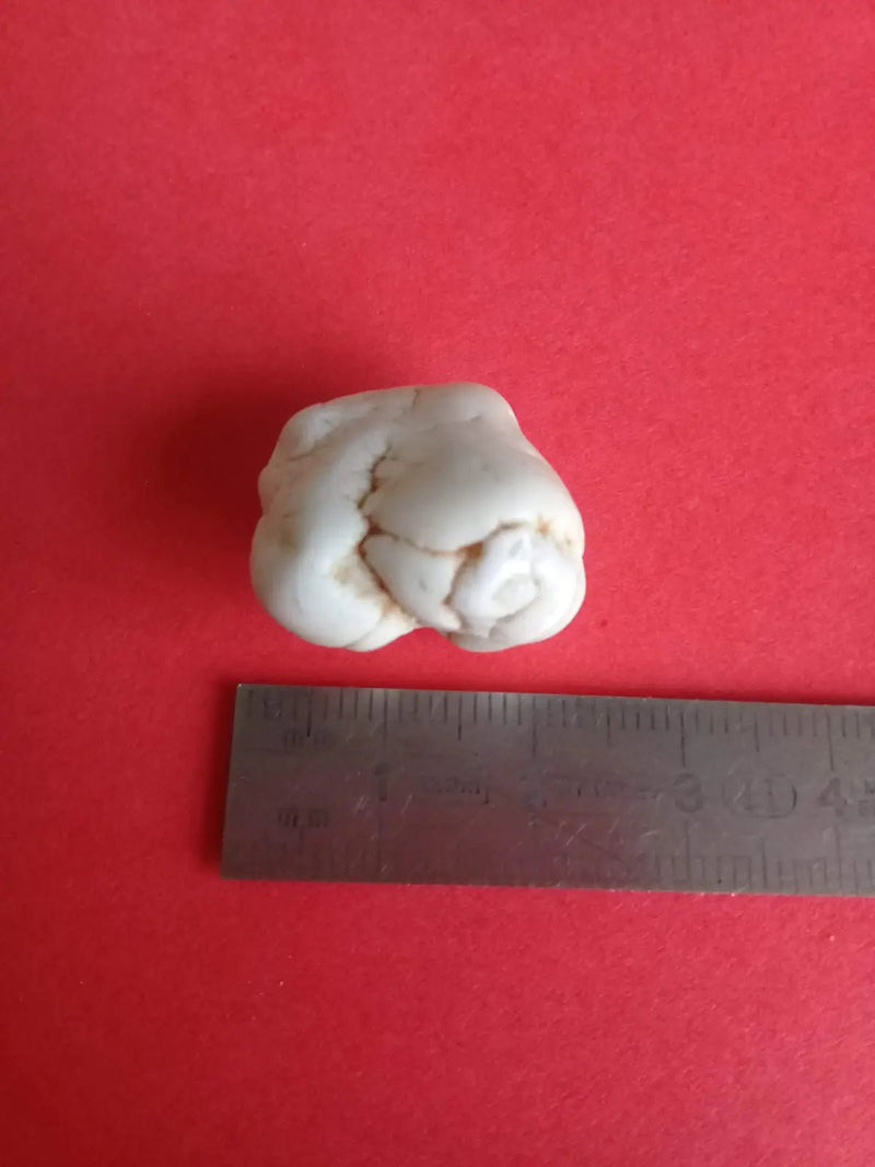 Chargez l&#39;image dans la visionneuse de la galerie, Magnésite pierre roulée Grade A ++++ Magnésite pierre roulée
