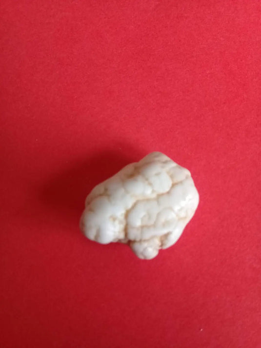 Magnésite pierre roulée Grade A ++++ Magnésite pierre roulée