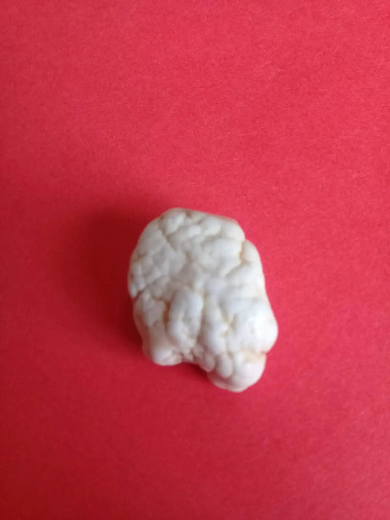 Chargez l&#39;image dans la visionneuse de la galerie, Magnésite pierre roulée Grade A ++++ Magnésite pierre roulée
