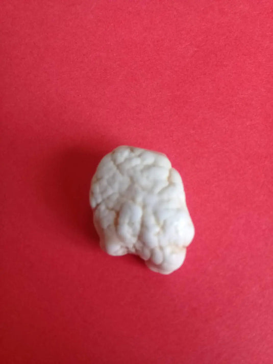 Magnésite pierre roulée Grade A ++++ Magnésite pierre roulée