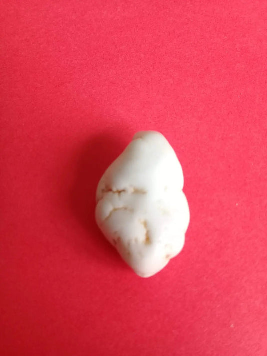 Magnésite pierre roulée Grade A ++++ Magnésite pierre roulée