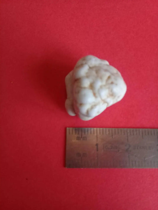 Magnésite pierre roulée Grade A ++++ Magnésite pierre roulée