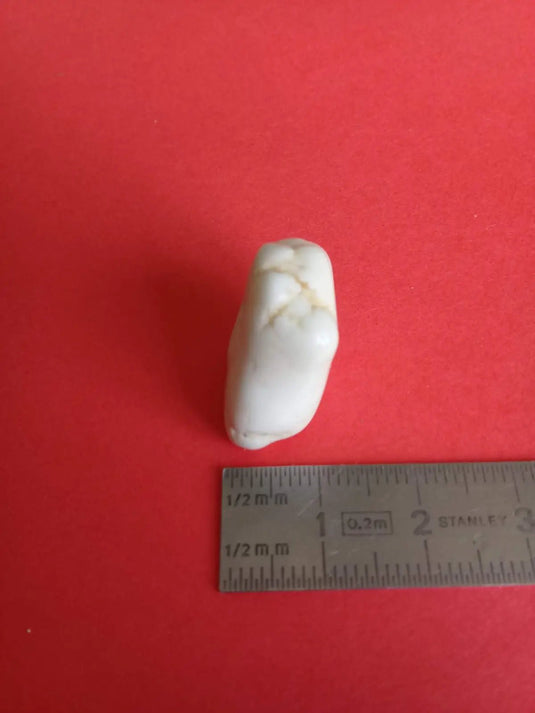 Magnésite pierre roulée Grade A ++++ Magnésite pierre roulée