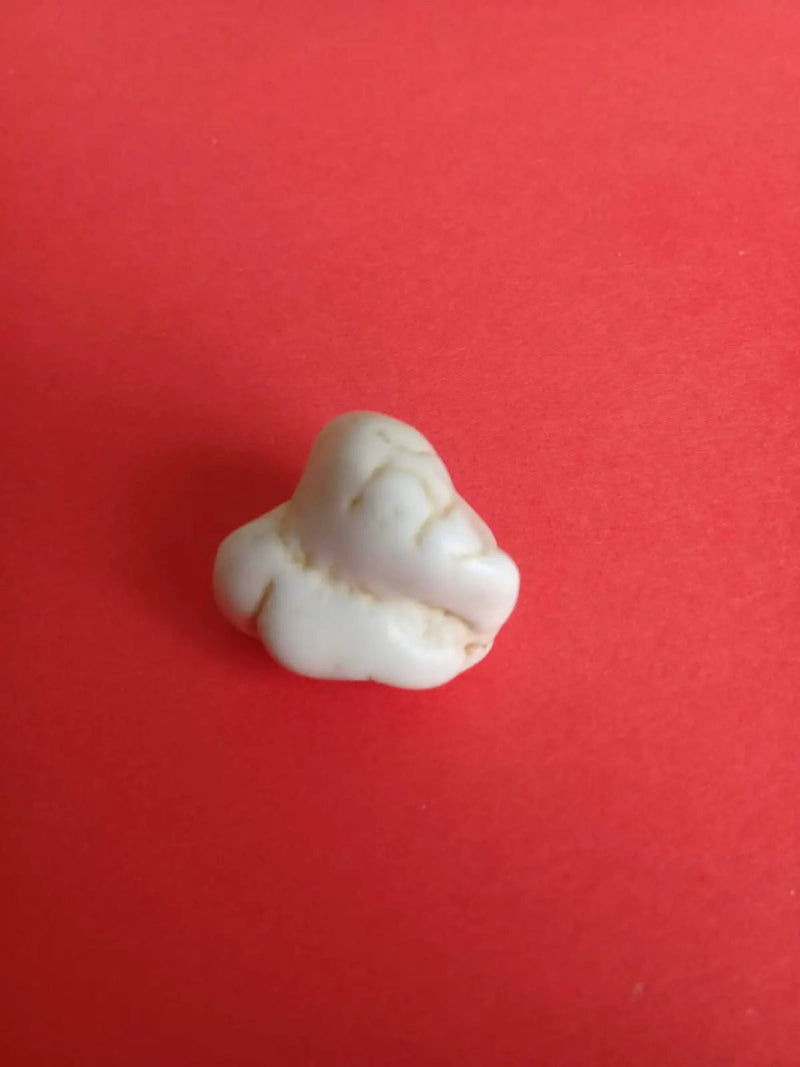 Chargez l&#39;image dans la visionneuse de la galerie, Magnésite pierre roulée Grade A ++++ Magnésite pierre roulée
