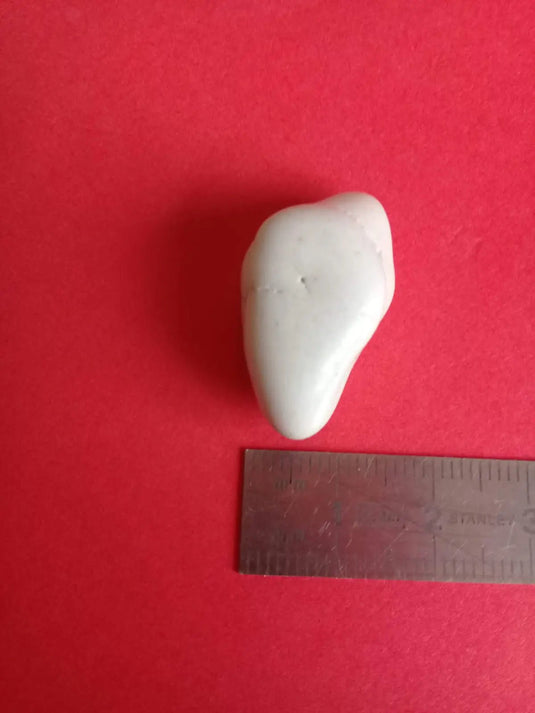 Magnésite pierre roulée Grade A ++++ Magnésite pierre roulée