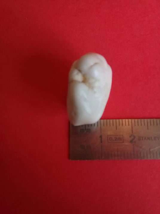 Magnésite pierre roulée Grade A ++++ Magnésite pierre roulée