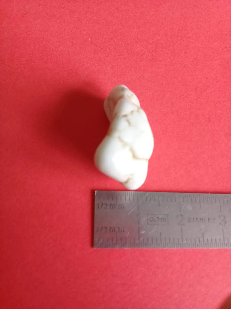 Chargez l&#39;image dans la visionneuse de la galerie, Magnésite pierre roulée Grade A ++++ Magnésite pierre roulée
