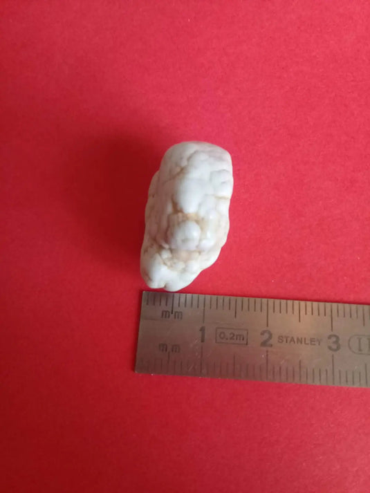 Magnésite pierre roulée Grade A ++++ Magnésite pierre roulée