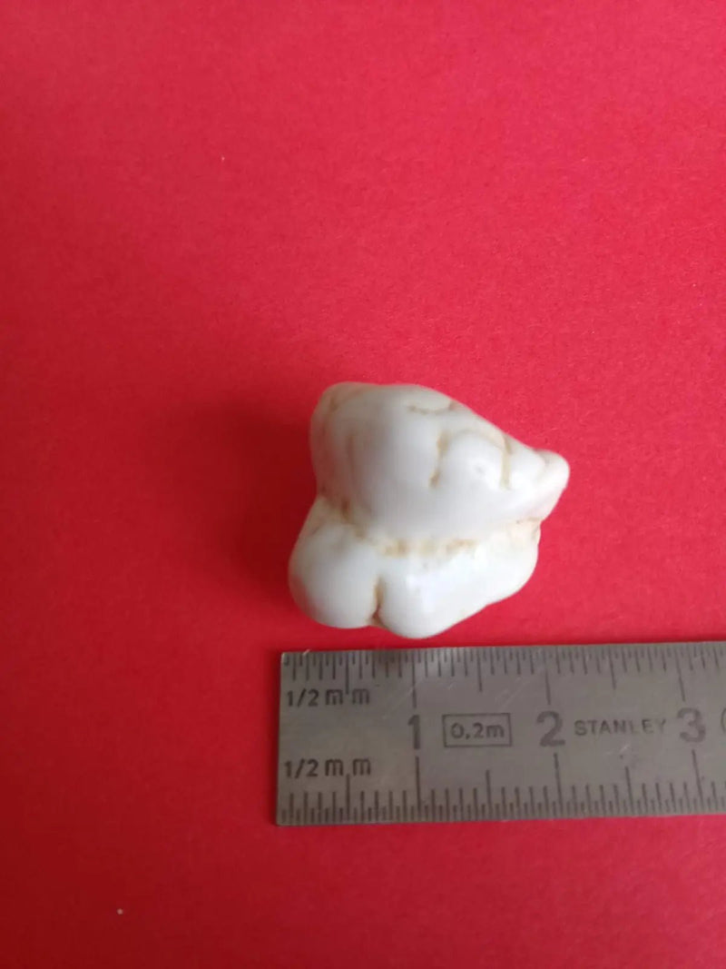 Chargez l&#39;image dans la visionneuse de la galerie, Magnésite pierre roulée Grade A ++++ Magnésite pierre roulée
