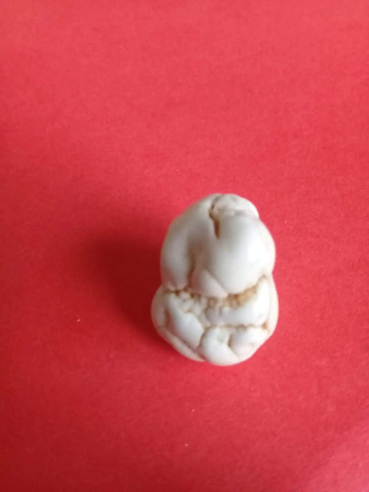 Magnésite pierre roulée Grade A ++++ Magnésite pierre roulée